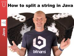 How to split a Java String